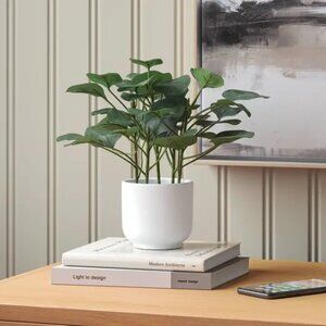 Artificial Eucalyptus Leaf Plant | 10" Tall | White Melamine Pot with Faux Soil